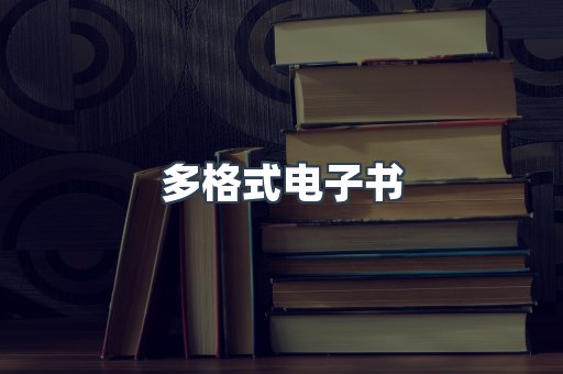 多格式电子书